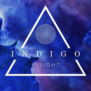 Instagram Profile Picture Of indigoinsight