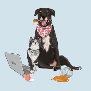 Instagram Profile Picture Of hoogie_bear_